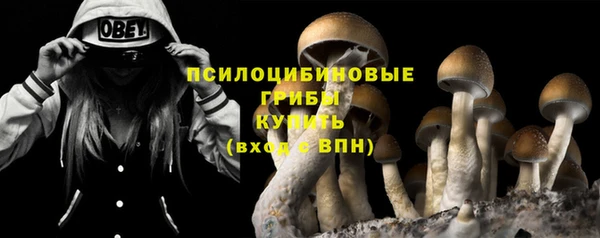 jwh Абаза